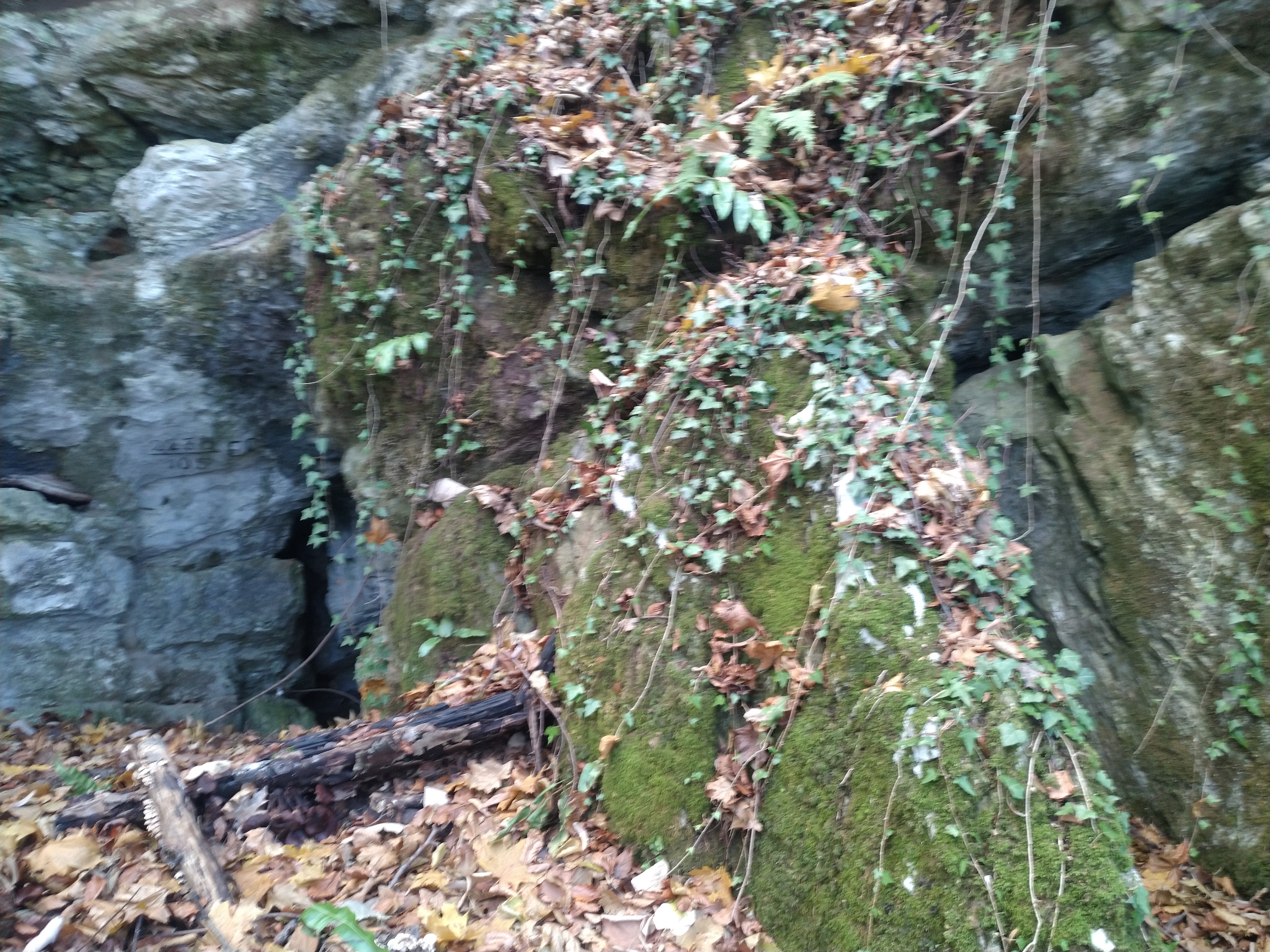 Pestera cu Meandre - Image 2